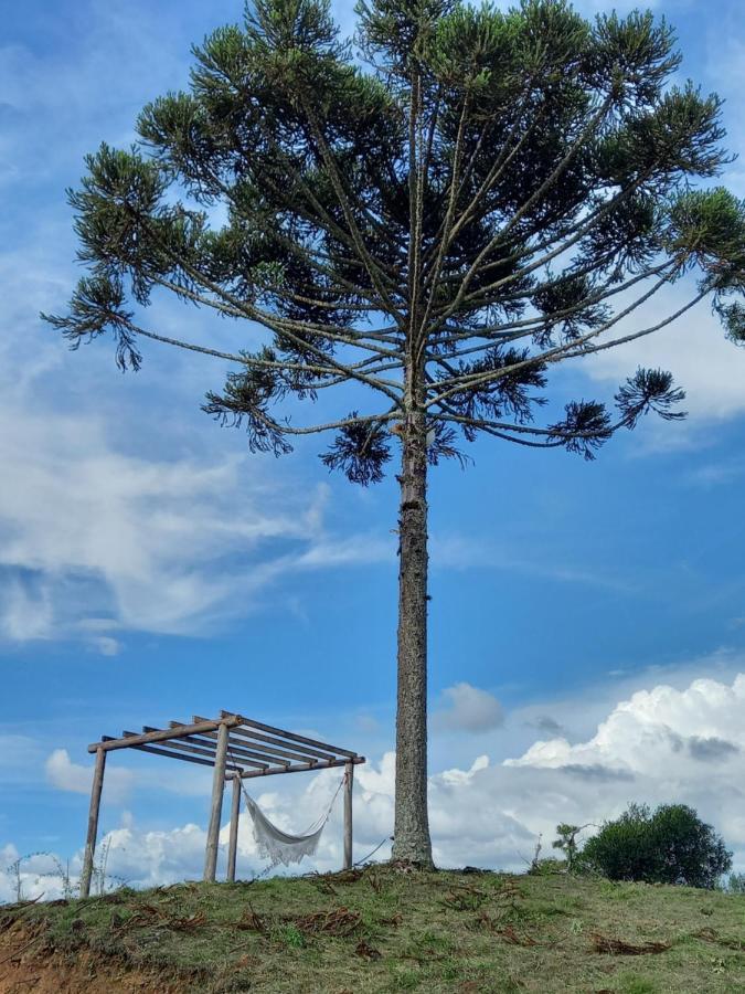 Celeiro Guarapuava, 4 Quartos, Paz E Tranquilidade Zewnętrze zdjęcie